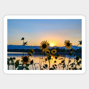 Wildflower Sunset Sticker